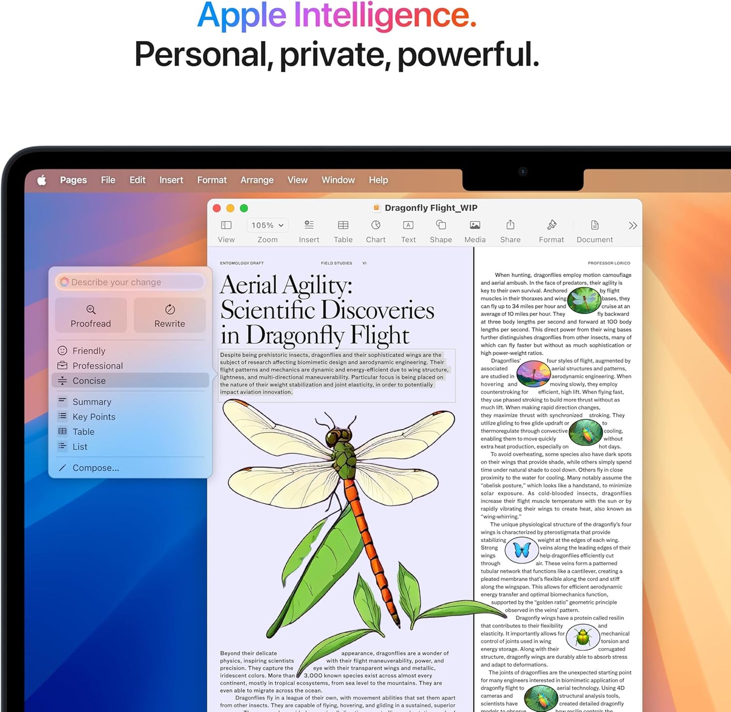 Apple MacBook Air 13-Inch (2025) - M4 Chip, 24GB Unified Memory, 1TB SSD Storage - Midnight