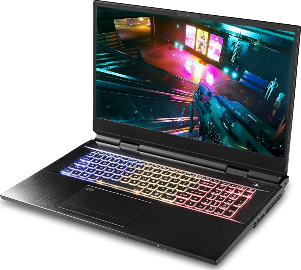 CUK Clevo X170 KMG 17 Inch Workstation Gaming Notebook (Intel Core I9, 64GB RAM, 2TB Nvme SSD, NVIDIA Geforce RTX 3080 16GB, 17.3" FHD 300Hz, Windows 10 Pro) Gamer Laptop Computer